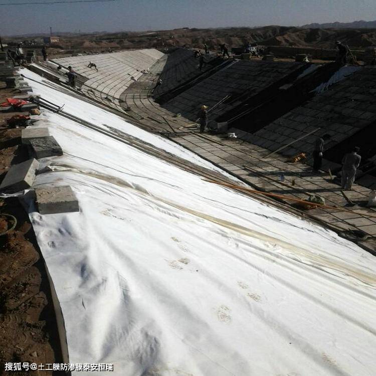 聚乙烯土工防渗膜_聚乙烯防渗膜施工工艺_聚乙烯防渗膜是什么材料