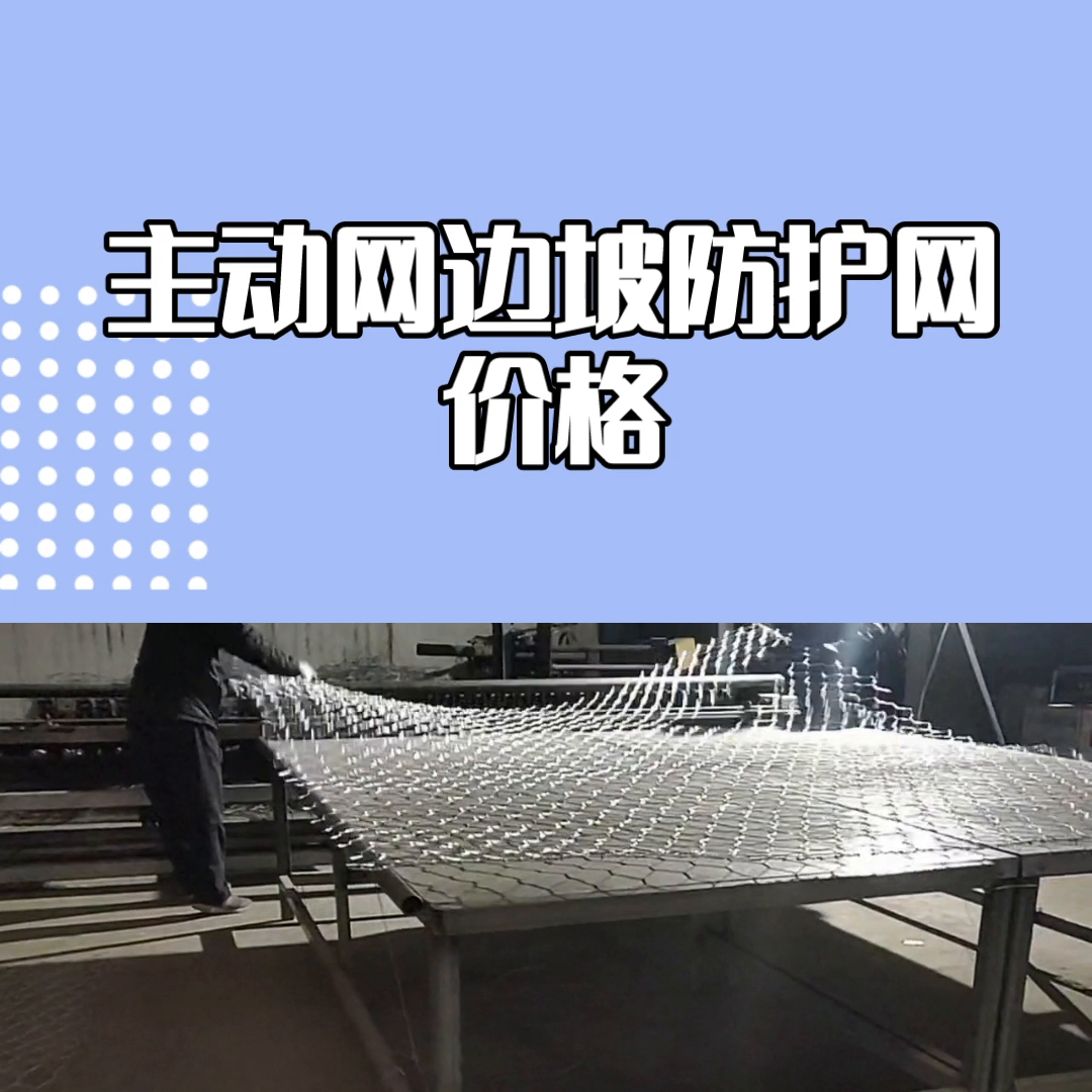 主动网边坡防护网的价格，边坡防护网的材质